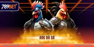 AOG Đá Gà