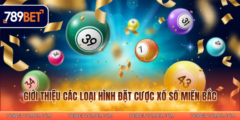 Giới thiệu các loại hình đặt cược xổ số miền Bắc
