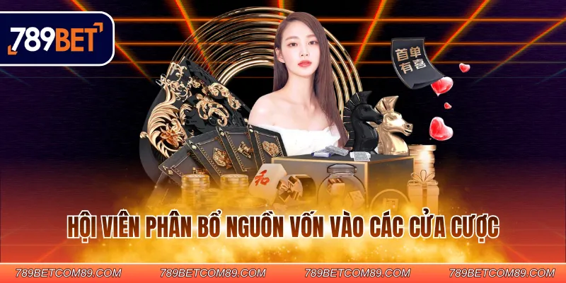 Hội viên phân bổ nguồn vốn vào các cửa cược