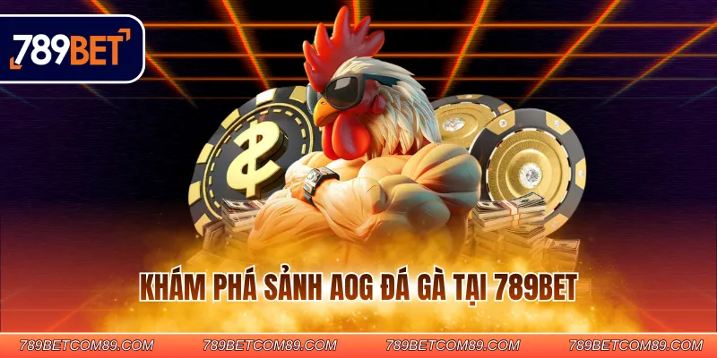 Khám phá sảnh AOG đá gà tại 789BET