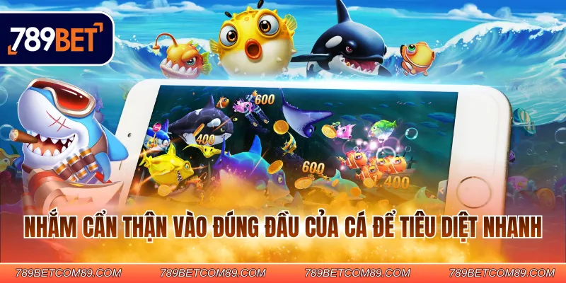 Nhắm cẩn thận vào đúng đầu của cá để tiêu diệt nhanh