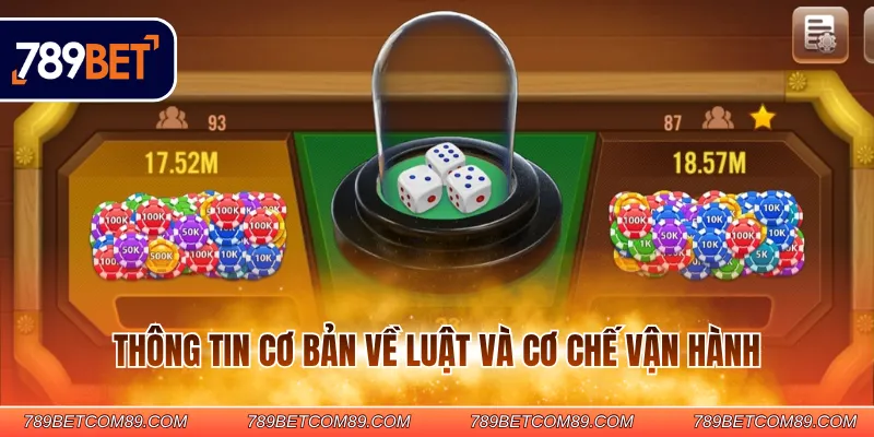 Thông tin cơ bản về luật và cơ chế vận hành