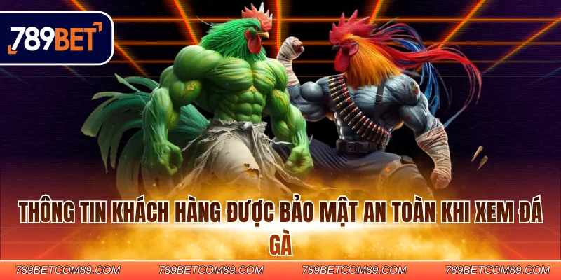 Thông tin khách hàng được bảo mật an toàn khi xem đá gà