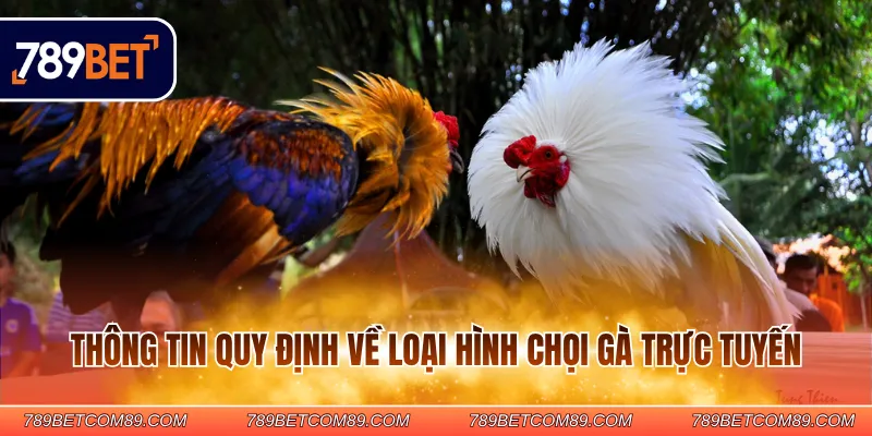 Thông tin quy định về loại hình chọi gà trực tuyến