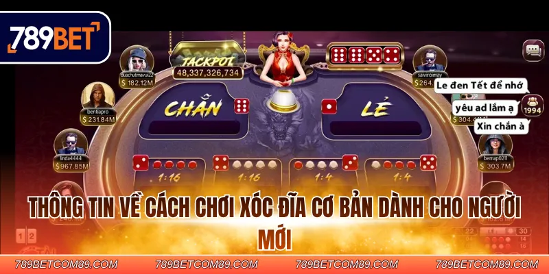 Thông tin về cách chơi Xóc đĩa cơ bản dành cho người mới